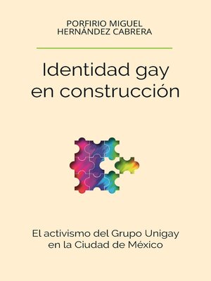 cover image of Identidad gay en construcción